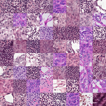 Biomarker Proposal