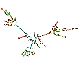 Reads to Gene Function